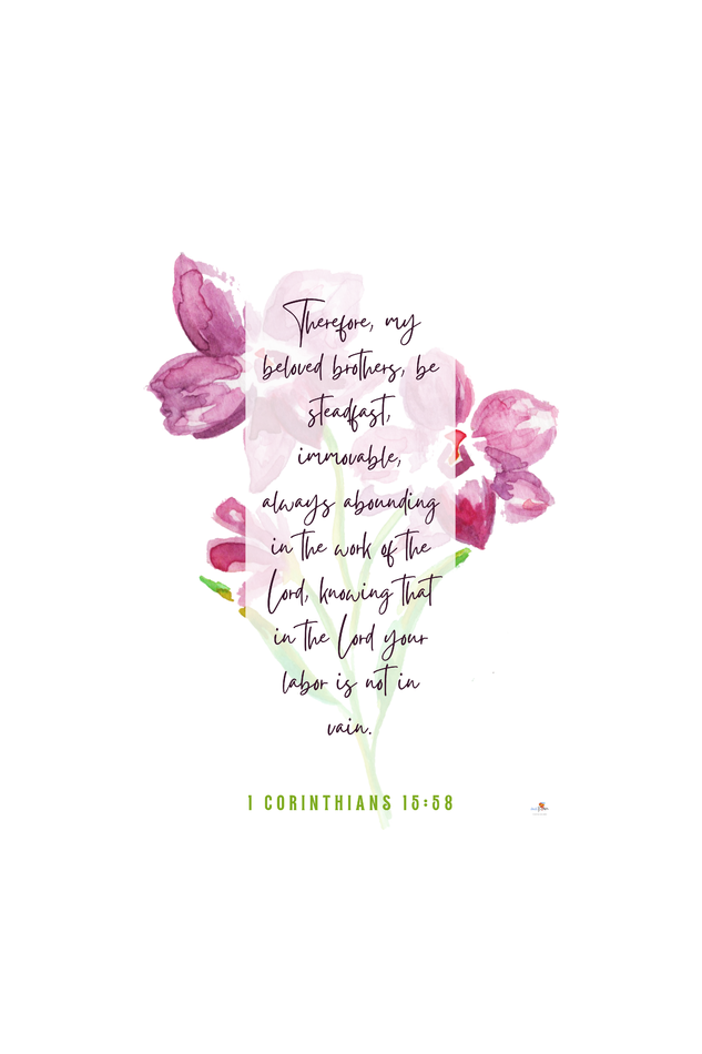 1 Cor 15:58 - Orchid flower - A4 Frame - English